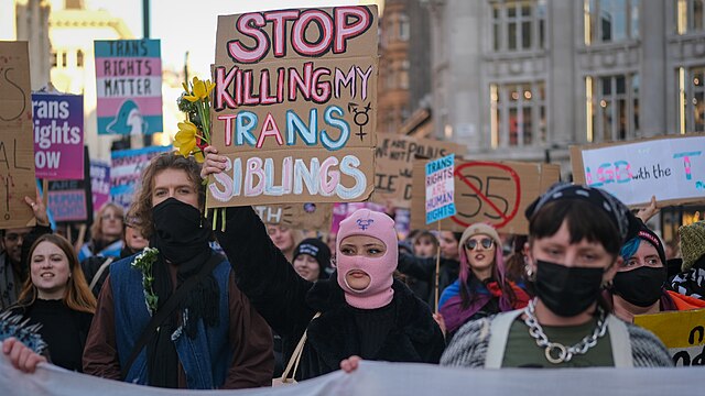Revolutionary trans politics and the three way fight: an interview with rowan